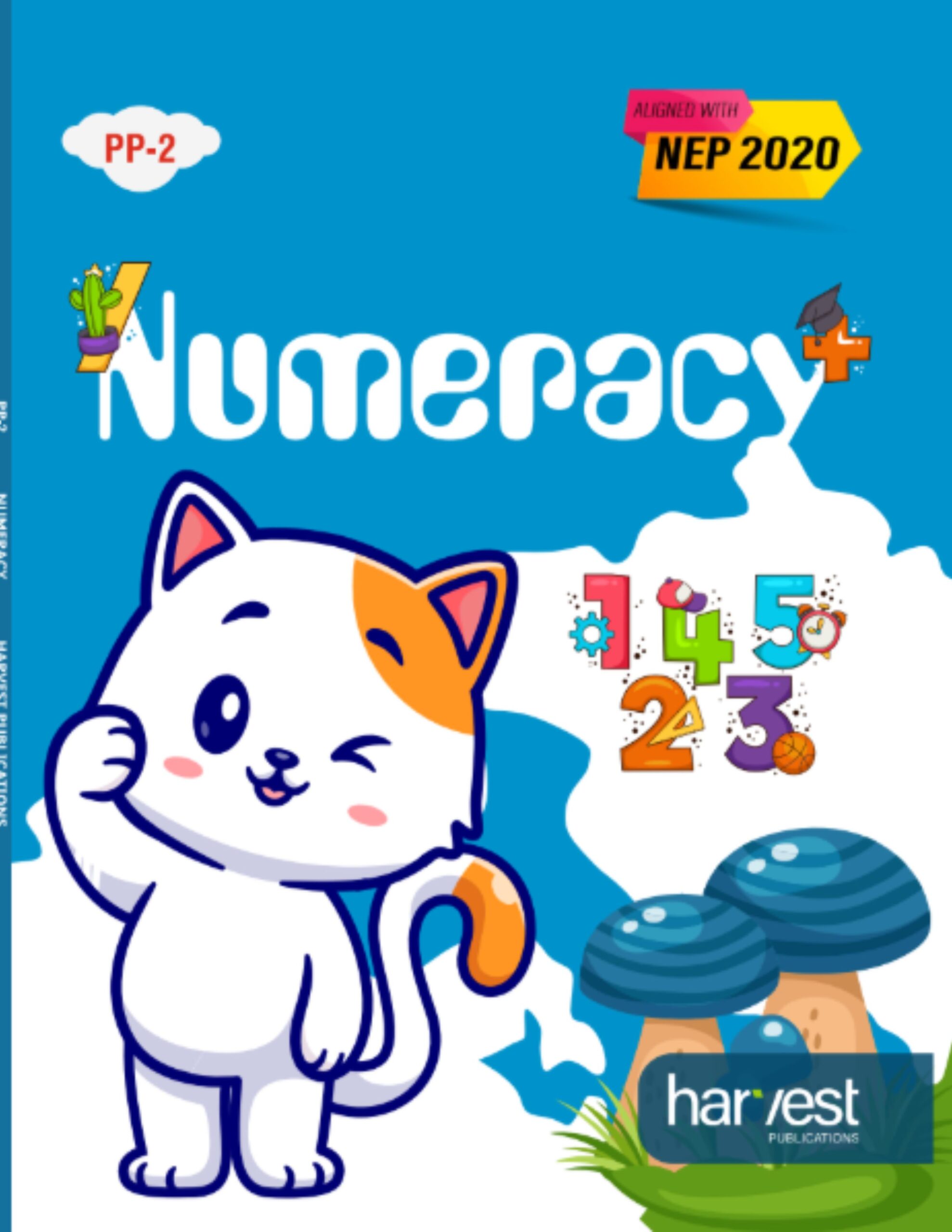 Samar Series | Numeracy Textbook | PP2